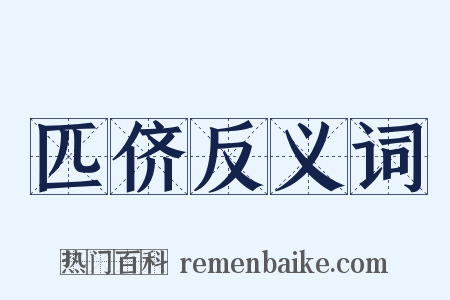 匹侪反义词是什么意思的图片